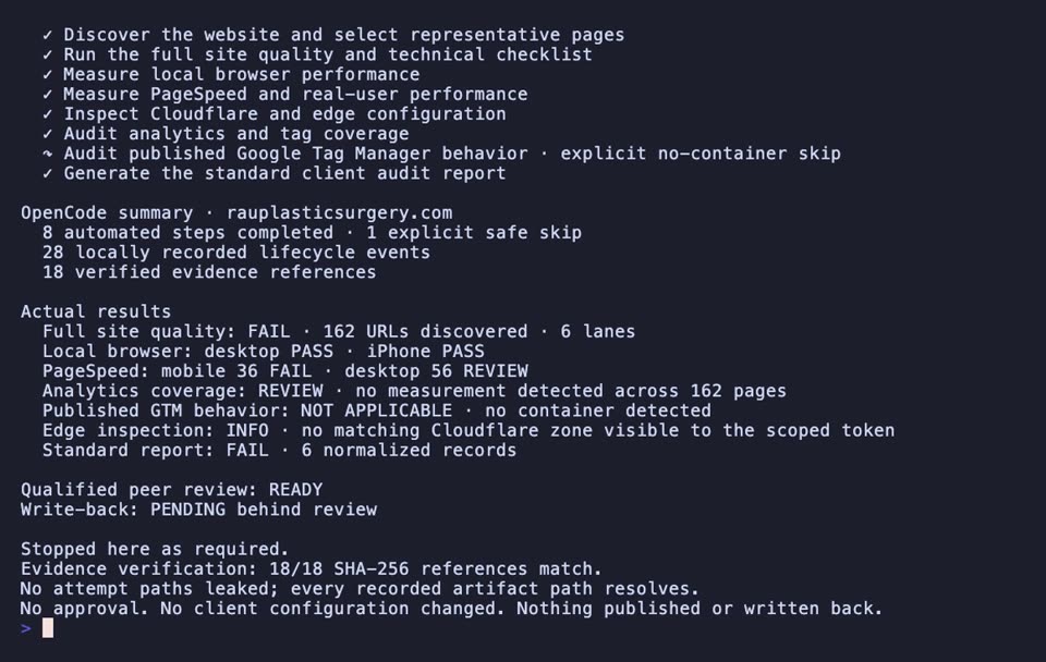 Watch OpenCode audit Rau Plastic Surgery, preserve a blocked QA lane and an explicit no-GTM skip, and verify every evidence digest before peer review.