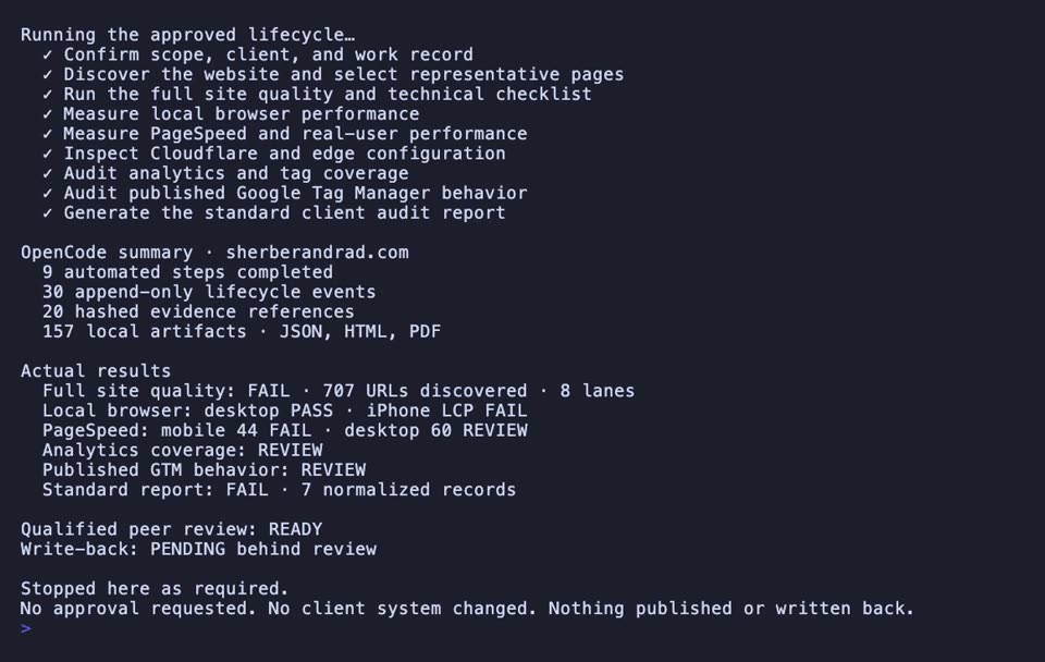 Watch OpenCode run the approved audit against Sherber & Rad, package the evidence, and stop at qualified peer review.