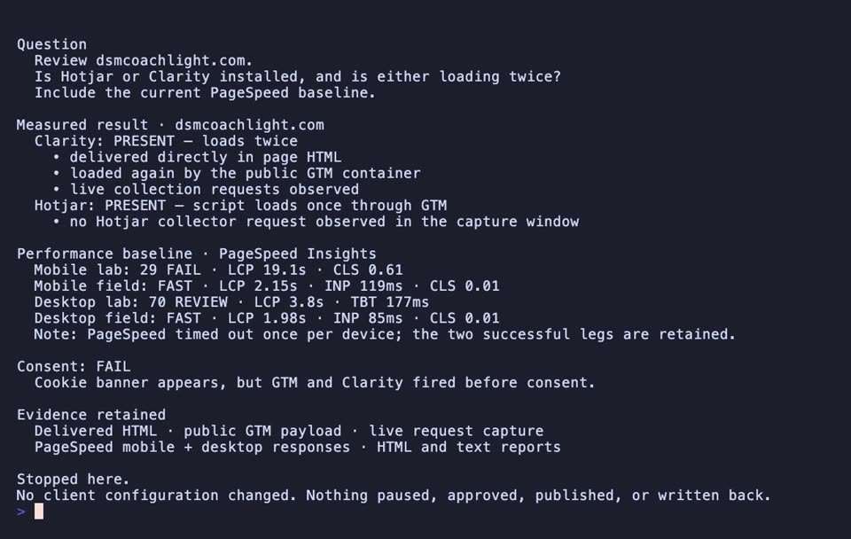 OpenCode result for the DSM Coachlight analytics and PageSpeed audit