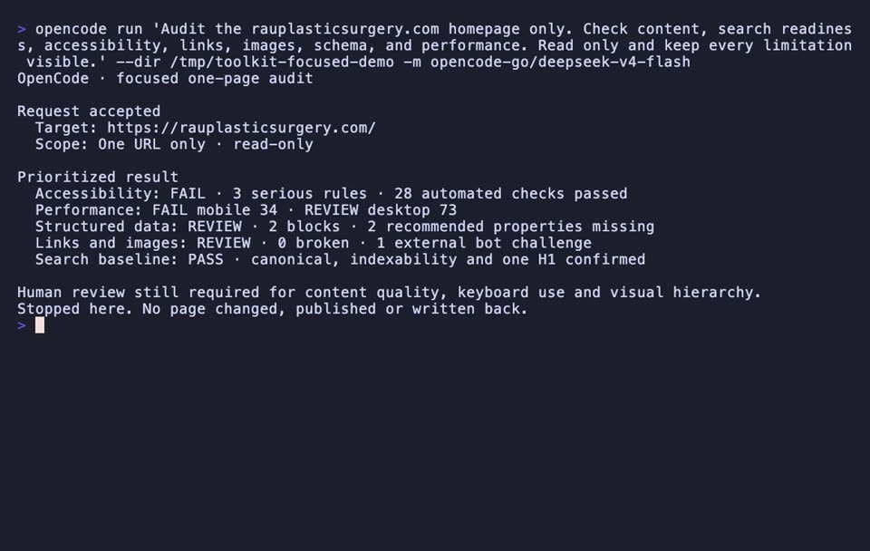 Watch OpenCode combine the checks that matter for one page into a concise, prioritized result without turning it into a site-wide project.