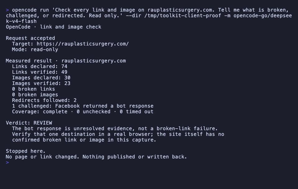 Watch OpenCode follow every declared homepage link and image, separate a bot challenge from a defect, and retain complete coverage.