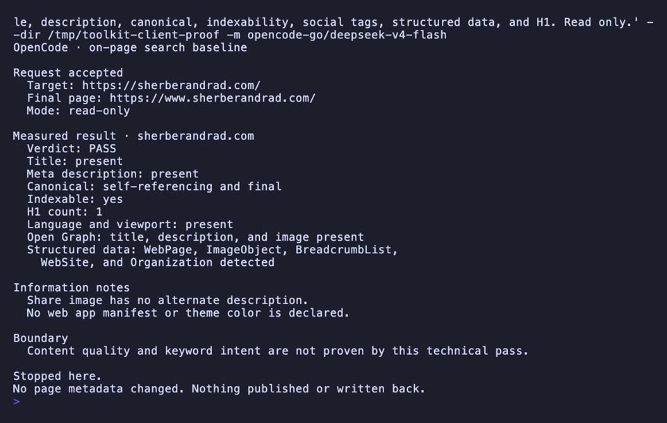 Watch OpenCode grade the homepage signals search engines read and distinguish a clean technical baseline from content strategy.