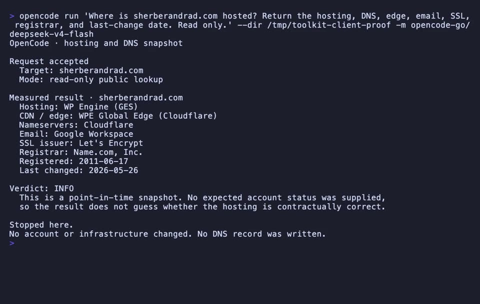 Watch OpenCode turn one hosting question into a complete, timestamped infrastructure snapshot without a login.